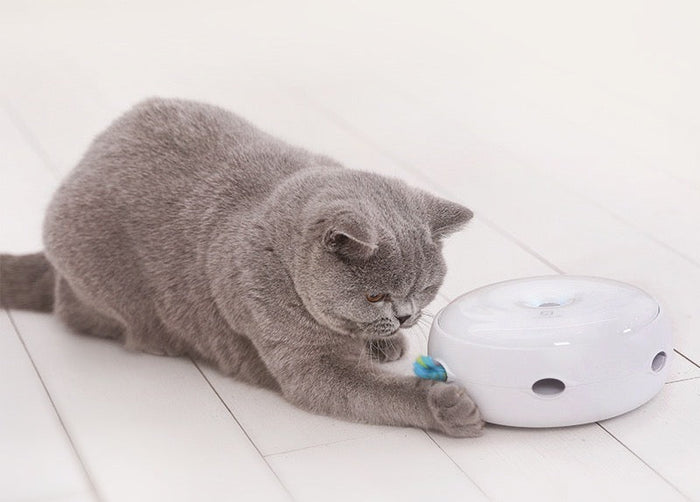 Jouet interactif intelligent pour chat en forme d'ovni