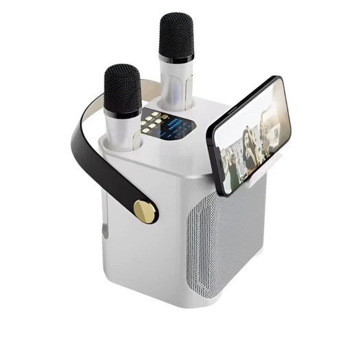 Suuritehoinen Bluetooth-karaoke-kaiutin kahdella mikrofonilla