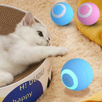 Balle interactive intelligente pour chats