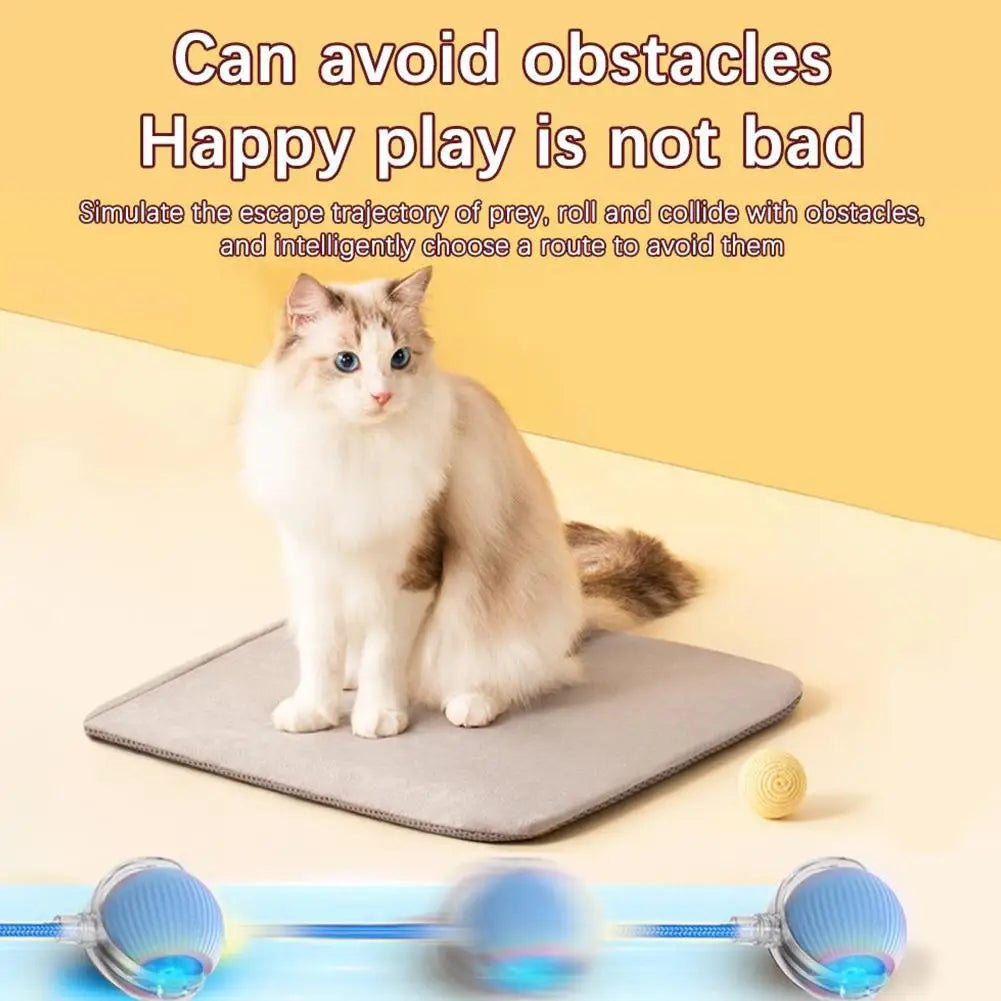 Interactive Smart Rolling Cat Ball Toy-1