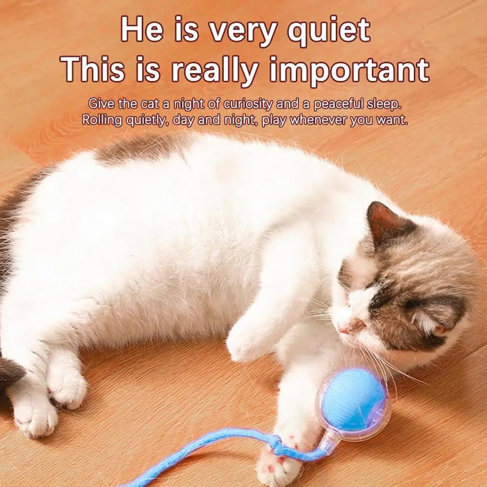Interactive Smart Rolling Cat Ball Toy-4