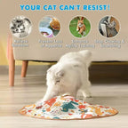 Smart Cat Toys-1